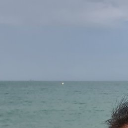 David, ������, 53 ����