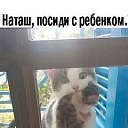 ���� ������, ���������, 57 ��� - ��������� 15 ������� 2024 � ������ ���� ����������