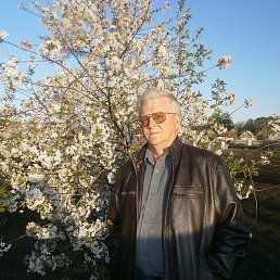 ���������, �������, 68 ���