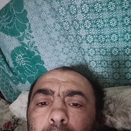 �����, 41 ���, ������-��-����