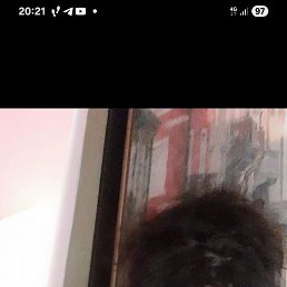 , 58, 