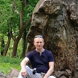 ������, �����, 49 ���