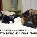 ���� ���������, ������, 63 ���� - ��������� 25 ������� 2025 � ������ ������������