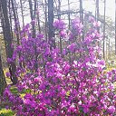 ���� ������ !**, ������, 66 ��� - ��������� 26 ������ 2025 � ������ ���� ����������