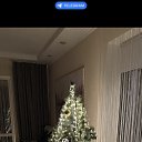 ���� ����, ������, 69 ��� - ��������� 28 ������ 2026