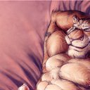 ���� ����, ������, 40 ��� - ��������� 17 ������ 2023