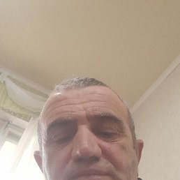 , 37, 