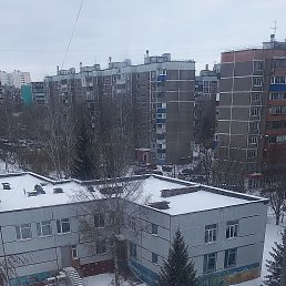 ���� ����, ������, 56 ��� - ��������� 3 ������ 2026