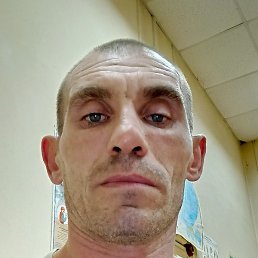 ������� �������, �����������, 41 ���