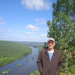 , 61, 