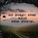 ���� ������, ������, 29 ��� - ��������� 10 ������� 2024 � ������ ���� ����������