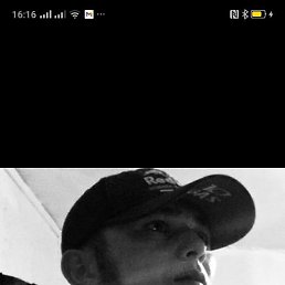 , 29, 