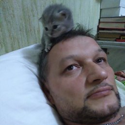 ���������, 53 ����, ���������