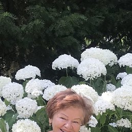 ���� �������, ������, 61 ��� - ��������� 30 ������ 2023