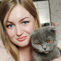 , 38, 