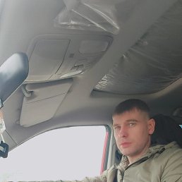 ������, 41 ���, ����������