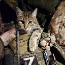 ���� $���z���$(���), ����������, 39 ��� - ��������� 28 ������� 2026