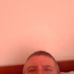 , 59, 