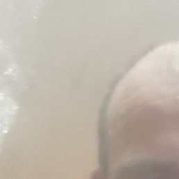 �������, ������, 48 ���