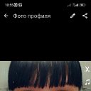 ���� ������, ������, 41 ��� - ��������� 11 ������ 2024 � ������ ���� ����������