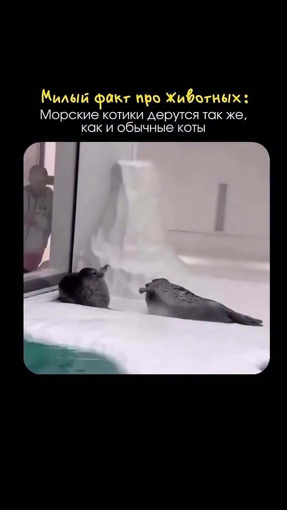 ������� ������: �������� � ������ �����!