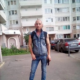 ����, 41 ���, ��������