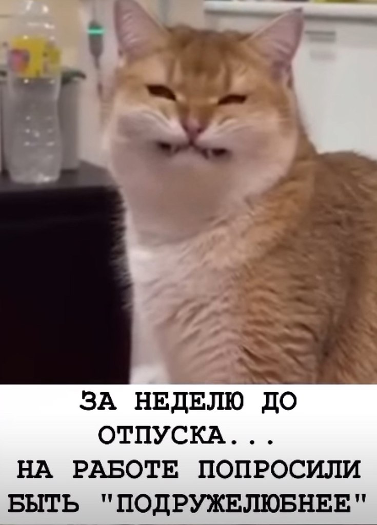  - 17  2025  17:59