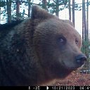 ���� ������, ��������, 48 ��� - ��������� 24 ������ 2023