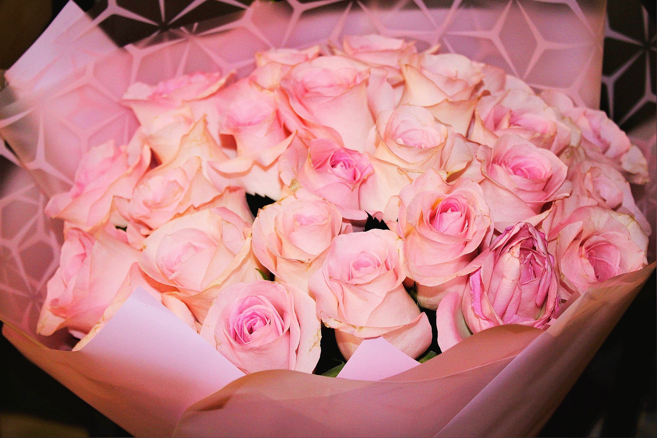 ����� �������� - 16 ���� 2025 � 20:32