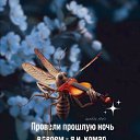 ���� ������� !, ������ - ��������� 23 ���� 2026 � ������ ������ ��������