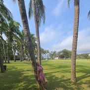 ���, 45 ���, �����������