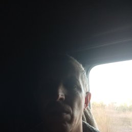 �������, �����, 49 ���