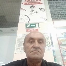 ����, 66 ���, �����