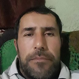 ���������, �������, 46 ���