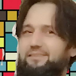 ��������, ������, 49 ���