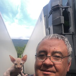 , 61 , --