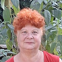 �������, ����, 62 ����