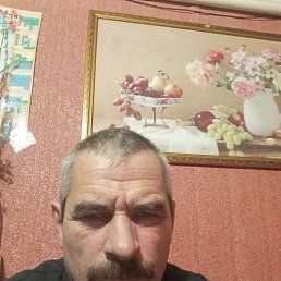 ����, 46 ���, ��������