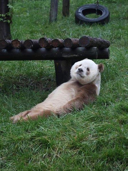   ,      .   ,       ... - 4