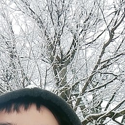 ���� Baxing, ������, 22 ���� - ��������� 2 ������ 2024