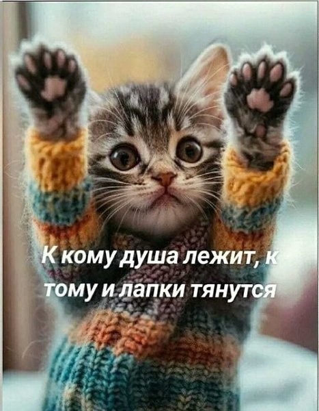 ОБО ВСЕМ - 28 октября 2025 в 17:54