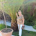 ���� Liubov, ������ - ��������� 2 ������ 2025 � ������ ���� ����������