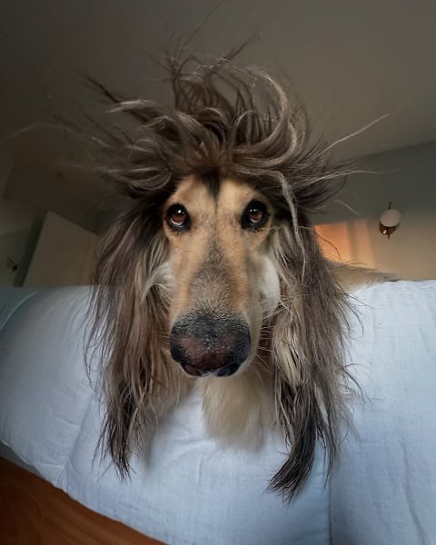     .  .  , ,    ... - 3