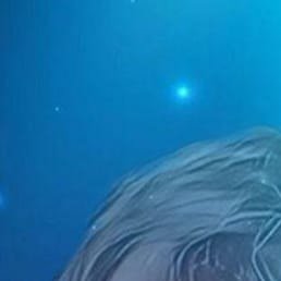 �����, �������