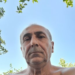 , 54, 