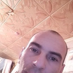 ����, �������, 36 ���