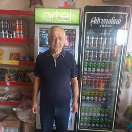 , 65, 