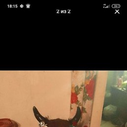 ����, ��������, 32 ����