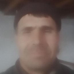 ����, ������, 47 ���