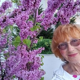 ����, �������, 65 ���